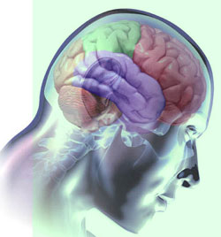 Avanços na Neurocirurgia