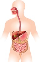 cirurgia gastro